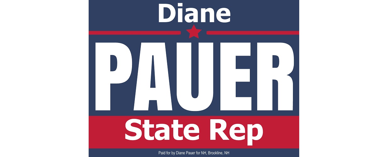 Diane Pauer for
State Rep