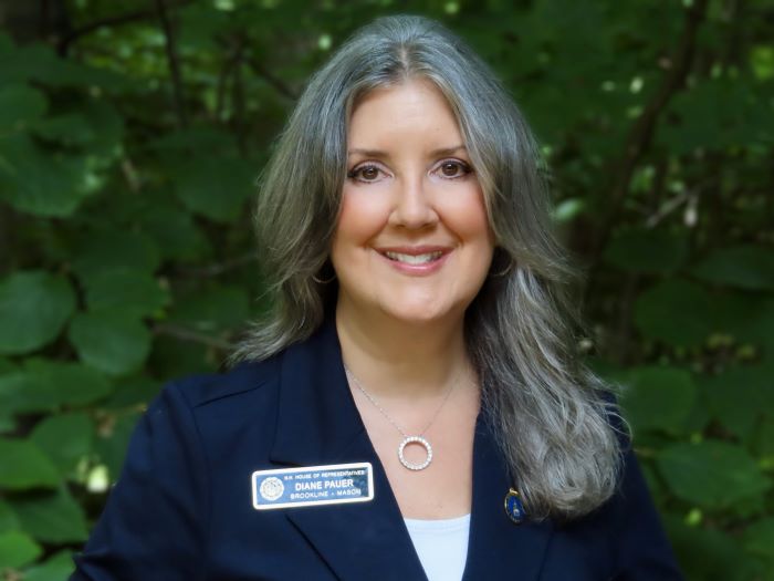 Rep Diane Pauer